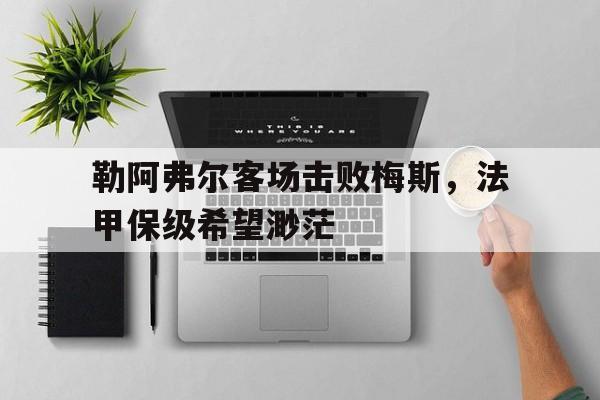 问鼎娱乐-勒阿弗尔客场击败梅斯，法甲保级希望渺茫