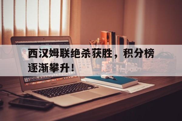 问鼎娱乐-西汉姆联绝杀获胜，积分榜逐渐攀升！
